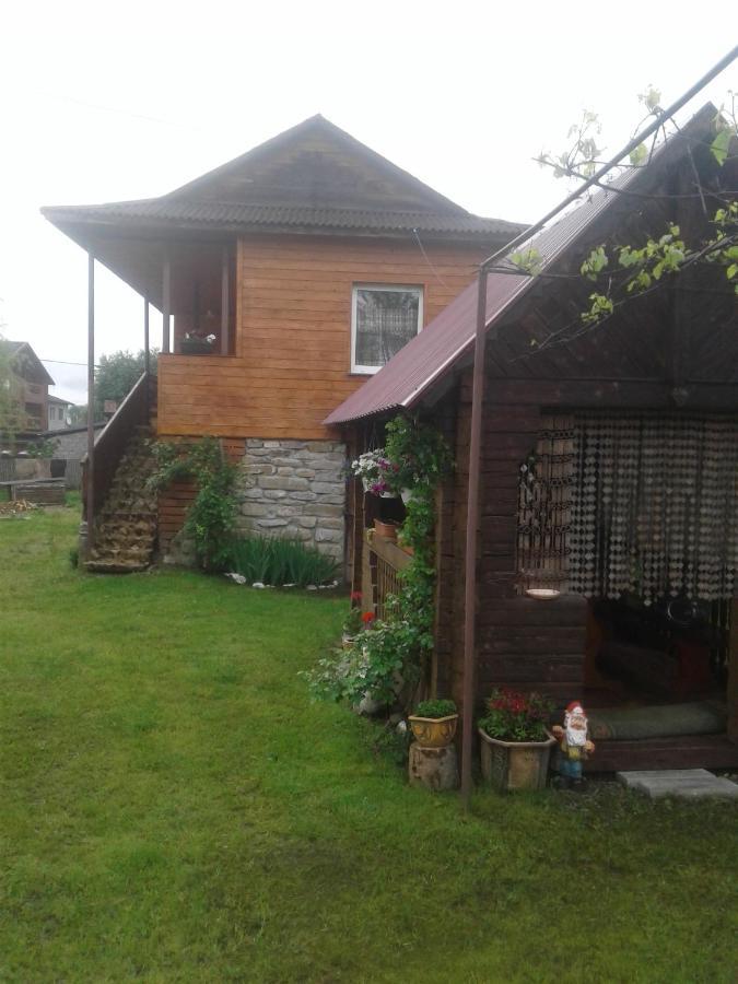 Міні Котедж Verhovina Kültér fotó